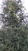 post-0-14109608060297_thumb.jpg