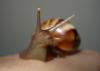 post-0-14109610910556_thumb.jpg