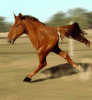 post-0-14109612484306_thumb.gif