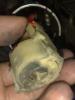 post-20967-14109619513456_thumb.jpg