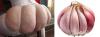 post-2127-14109628247832_thumb.jpg