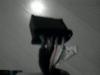 post-22527-14109614463856_thumb.jpg