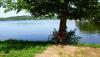 post-23633-14109631312553_thumb.jpg