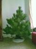post-24097-14109614212803_thumb.jpg