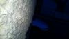 post-24705-14109636631814_thumb.jpg