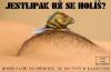 post-25417-14109617793462_thumb.jpg
