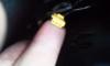 post-28351-14109616456122_thumb.jpg