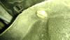 post-30067-14109629603819_thumb.jpg