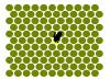 post-32199-14109628490773_thumb.jpg