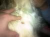 post-5813-14109622205249_thumb.jpg
