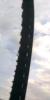 post-7387-14109625323111_thumb.jpg