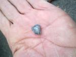 post-18085-0-21957800-1415096894_thumb.j