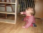 post-16-0-57177000-1417769561_thumb.jpg