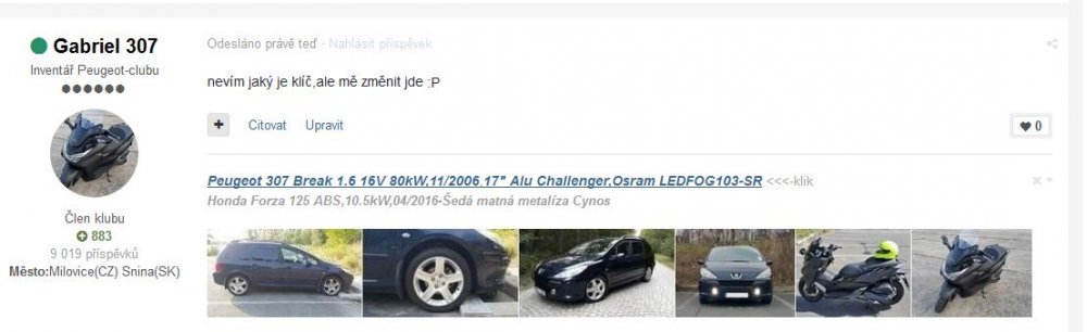 ava forza.JPG
