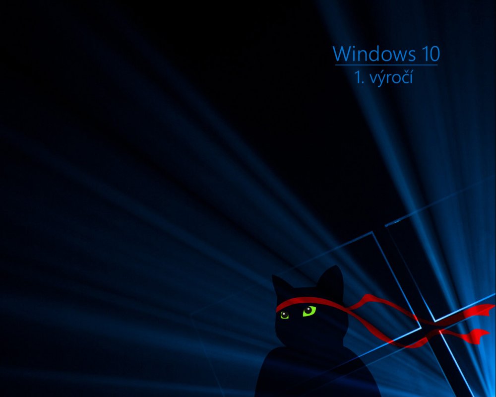Windows_Insider_Anniversary-Ninjacat-1280x1024-cs-CZ.jpg
