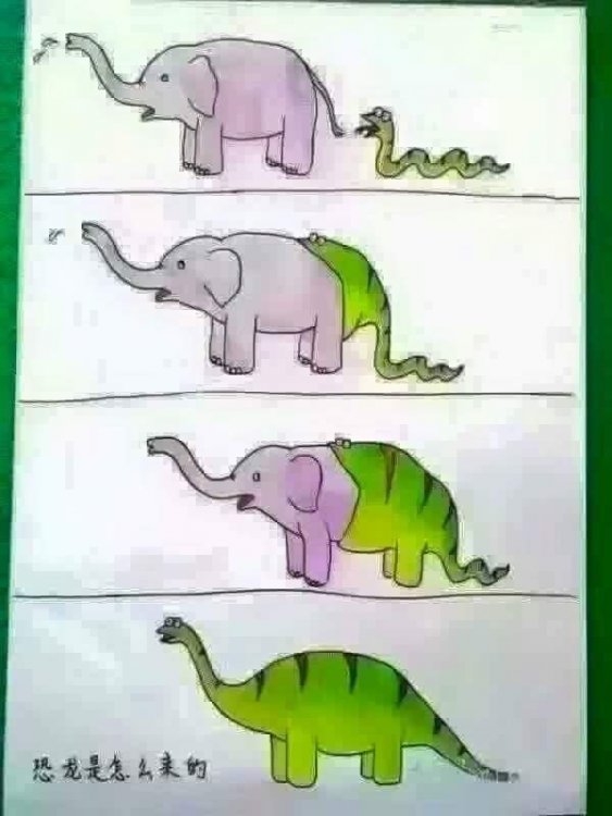 image.jpg