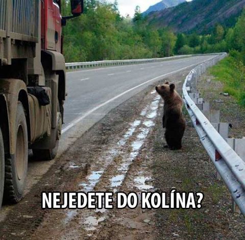 kolin.jpg