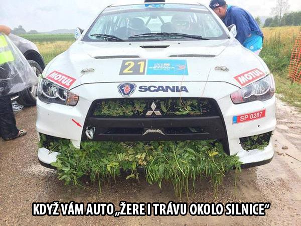 trava.jpg