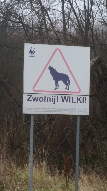 20161111_132859.jpg