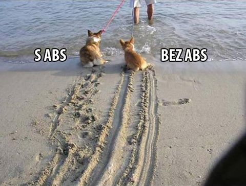 Jak brzdí pes.jpg