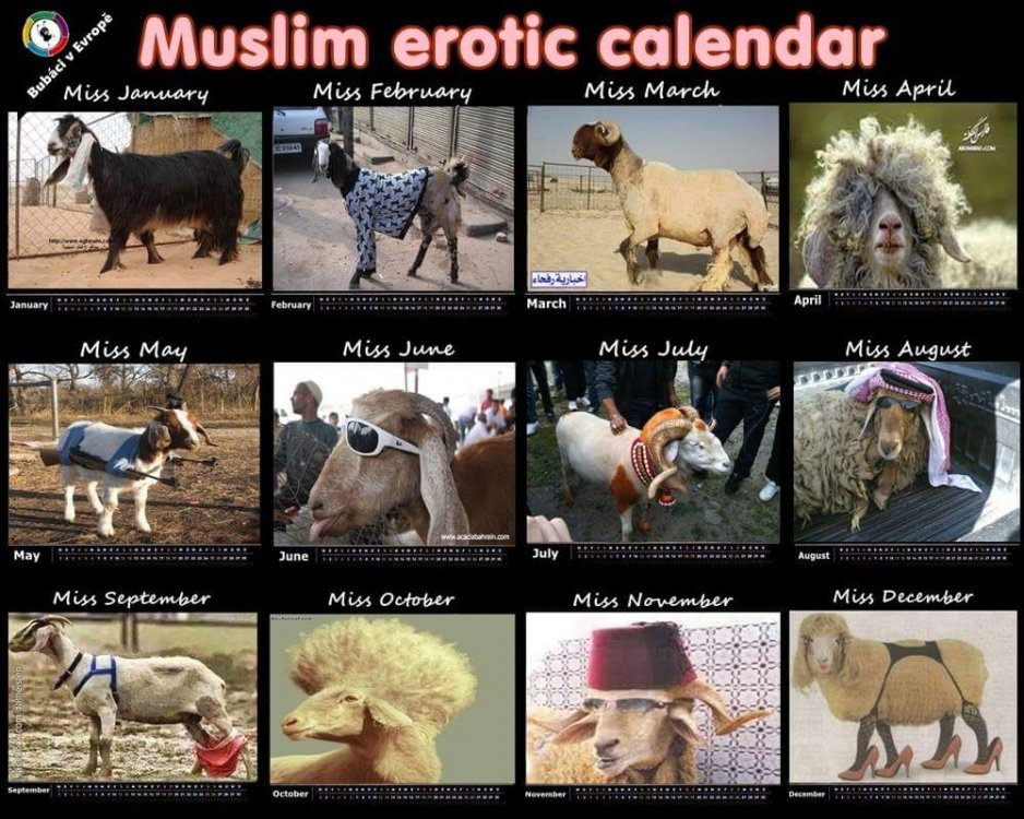 Muslimskej erotickej kalendář.jpg
