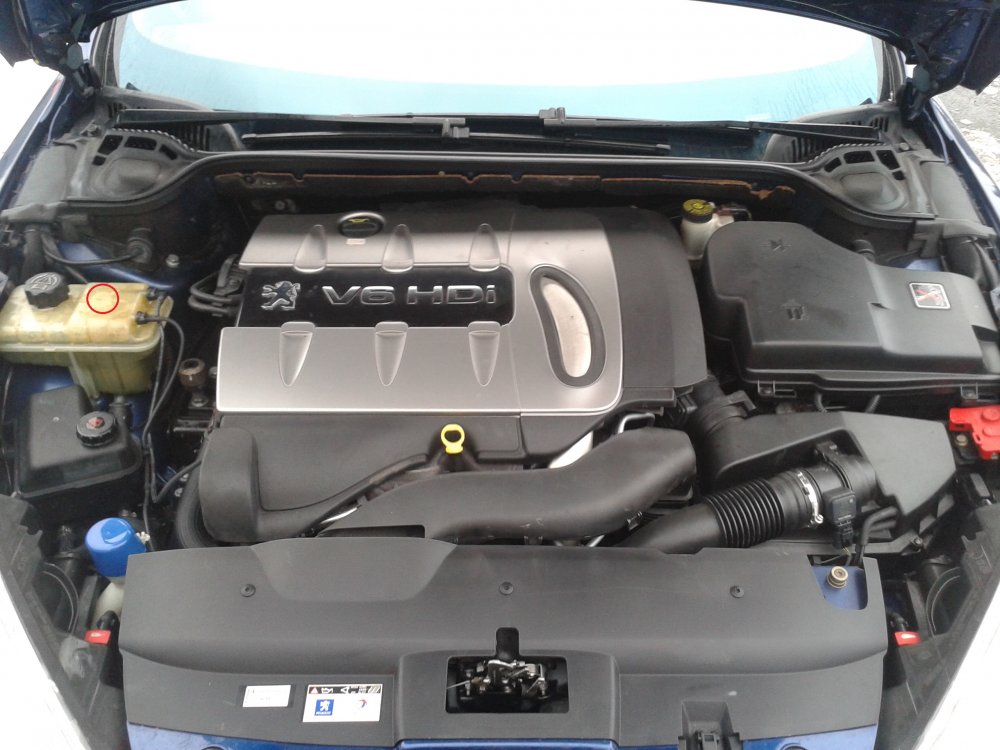 20130113_1332481.jpg