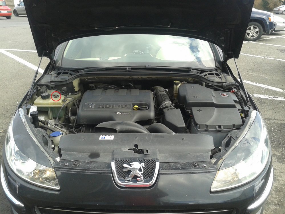 20130413_133644a.jpg