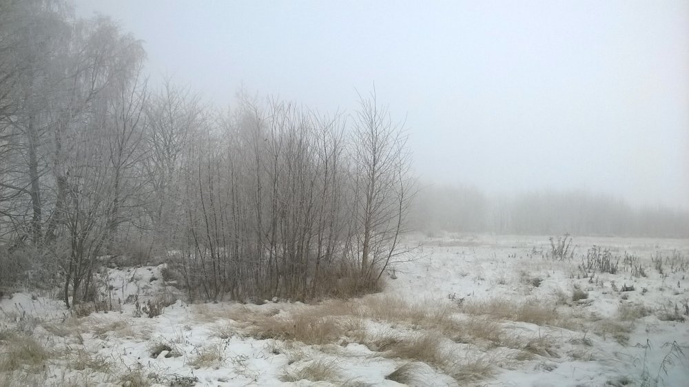 WP_20161208_13_28_16_Pro.jpg