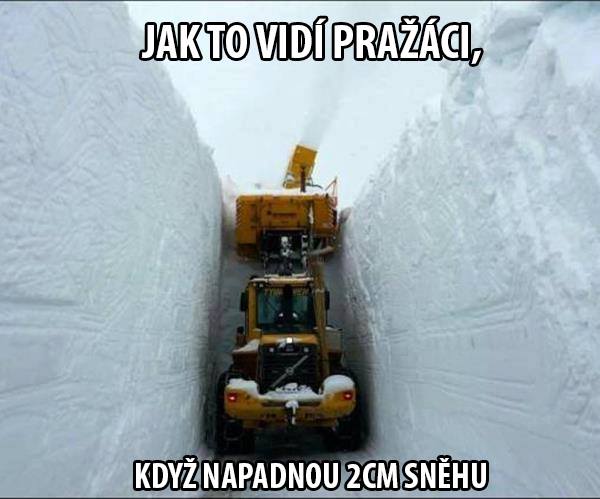 2cm.jpg