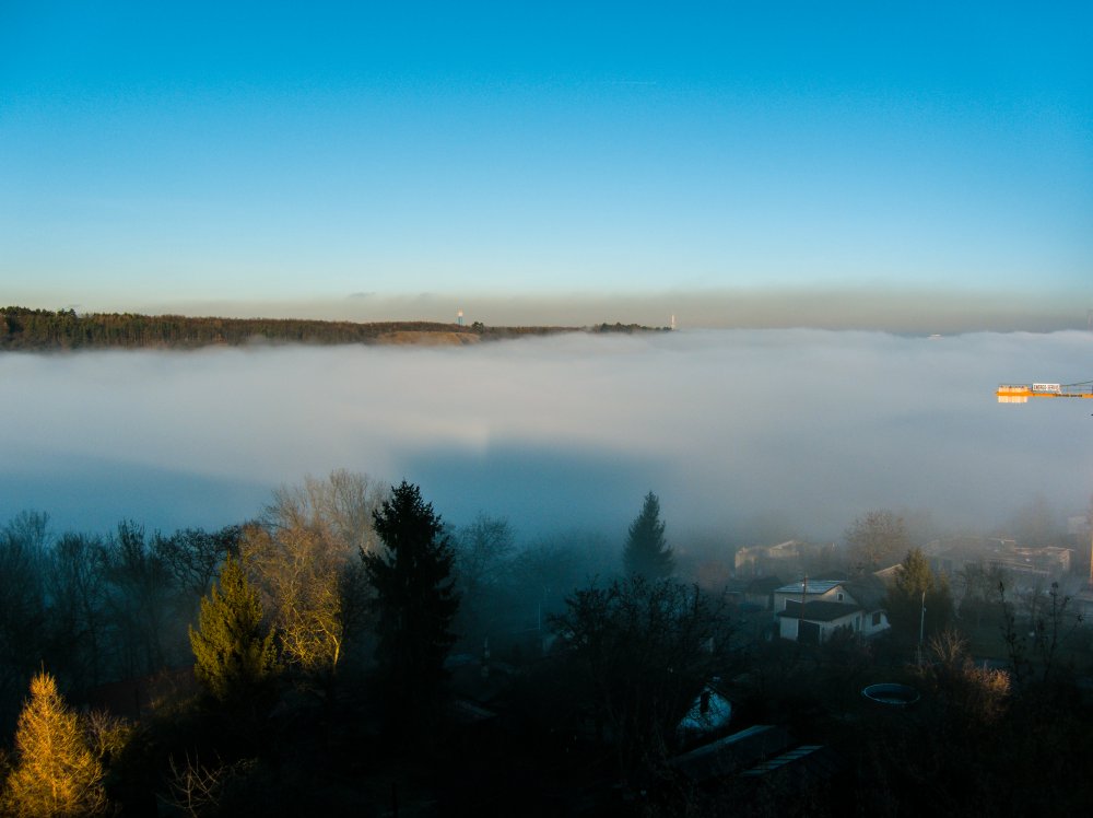 CRW_8981.jpg
