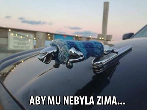 zima.jpg