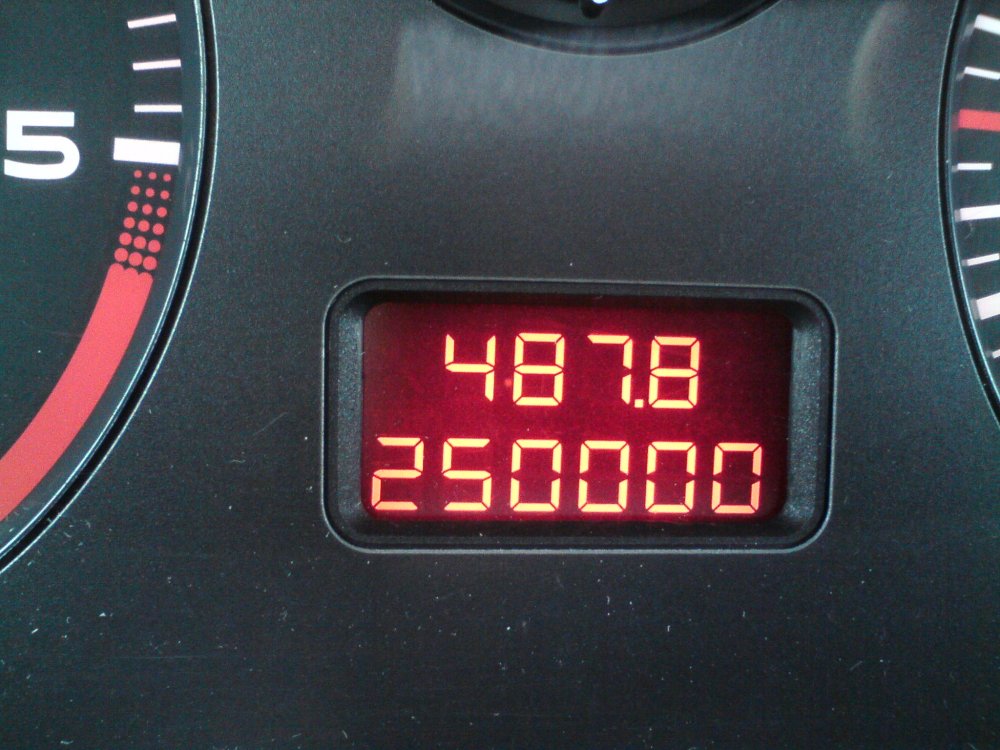250.JPG