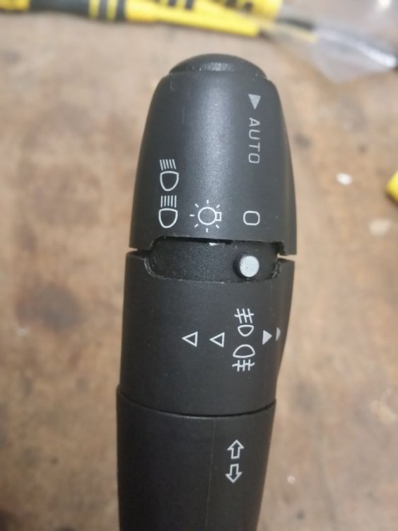 packi 807.jpg