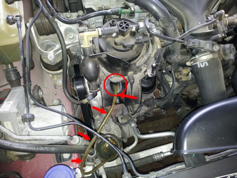 20140925_162207.jpg
