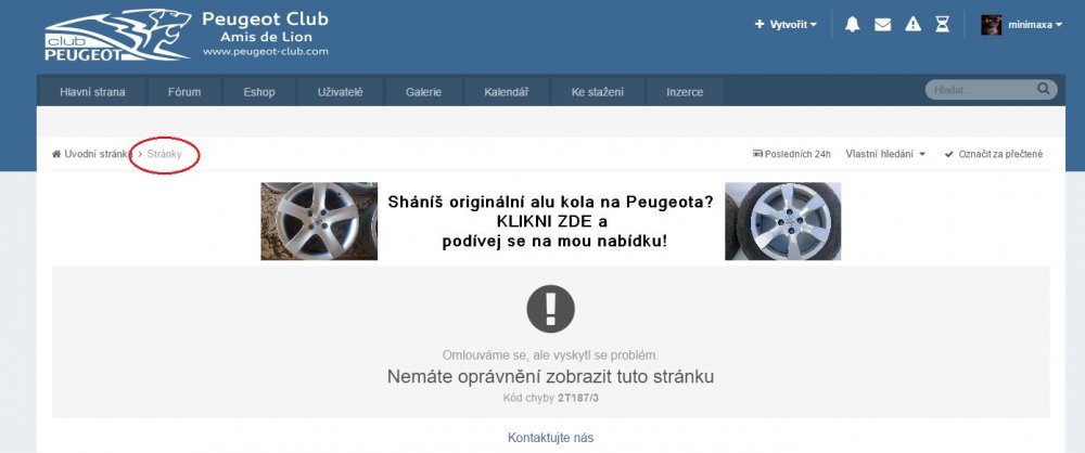 Bez názvu.jpg