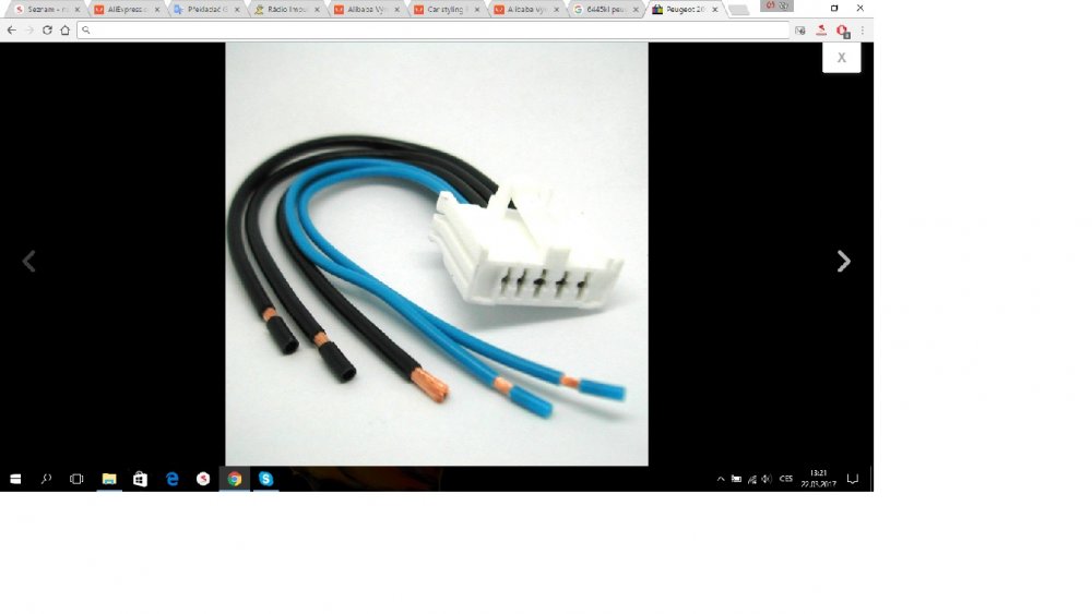 Pictail for Peugeot 307 for 6445KL.jpg