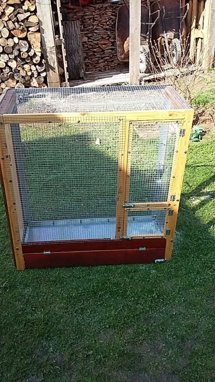 20170409_105721.jpg