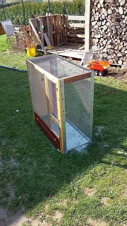 20170409_105728.jpg