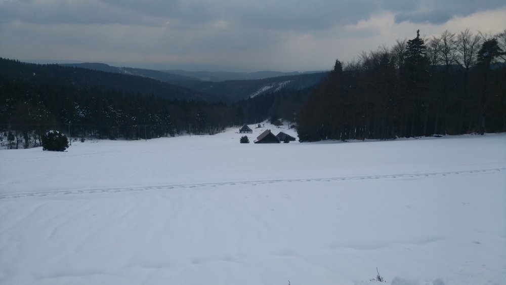 DSC_0384.JPG