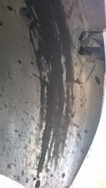 WP_20170401_11_07_29_Pro.jpg