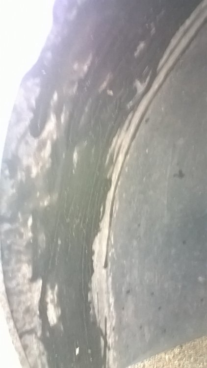 WP_20170401_11_07_37_Pro.jpg