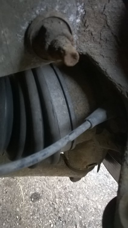 WP_20170401_11_07_50_Pro.jpg