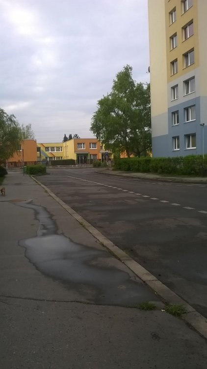 WP_20170413_09_15_34_Pro.jpg