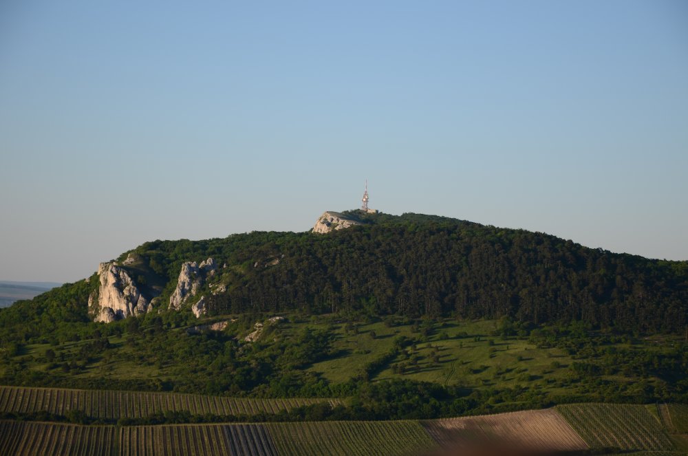 DSC_5418.JPG