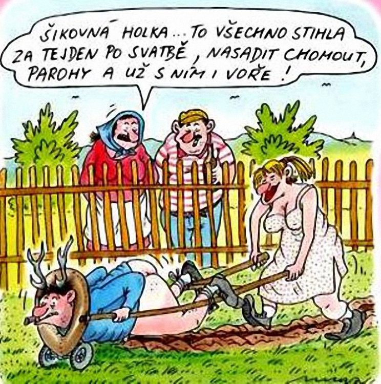 Sikovna.jpg