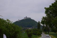 DSC_5305.jpg
