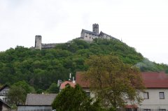 DSC_5310.jpg