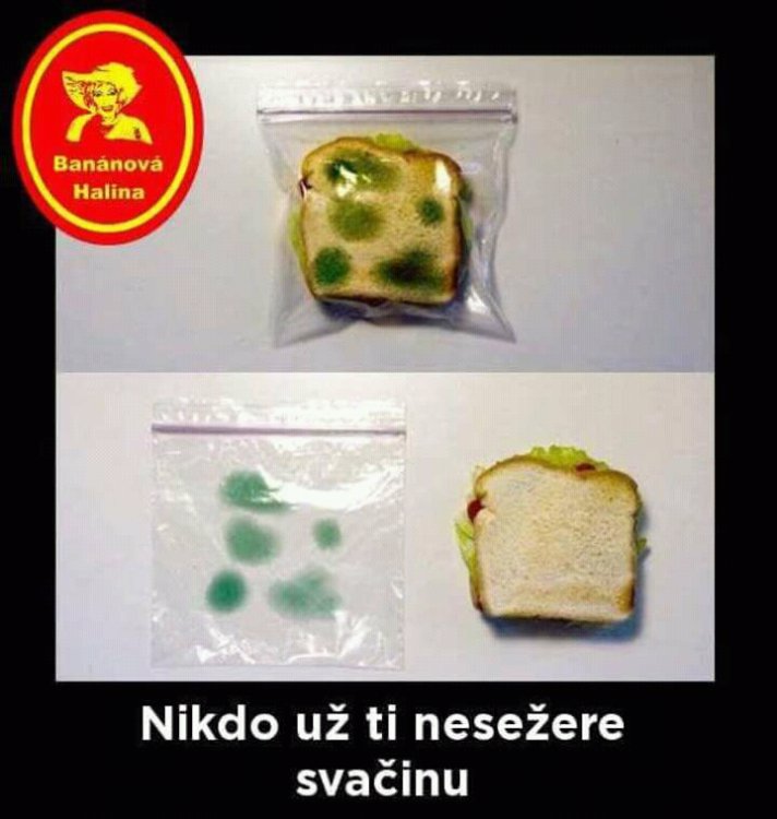FB_IMG_14979057961079094.jpg