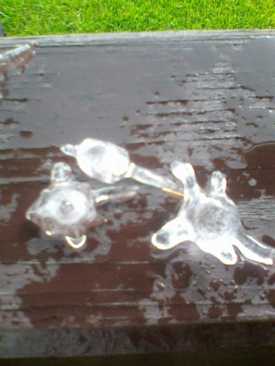 Photo0120.jpg