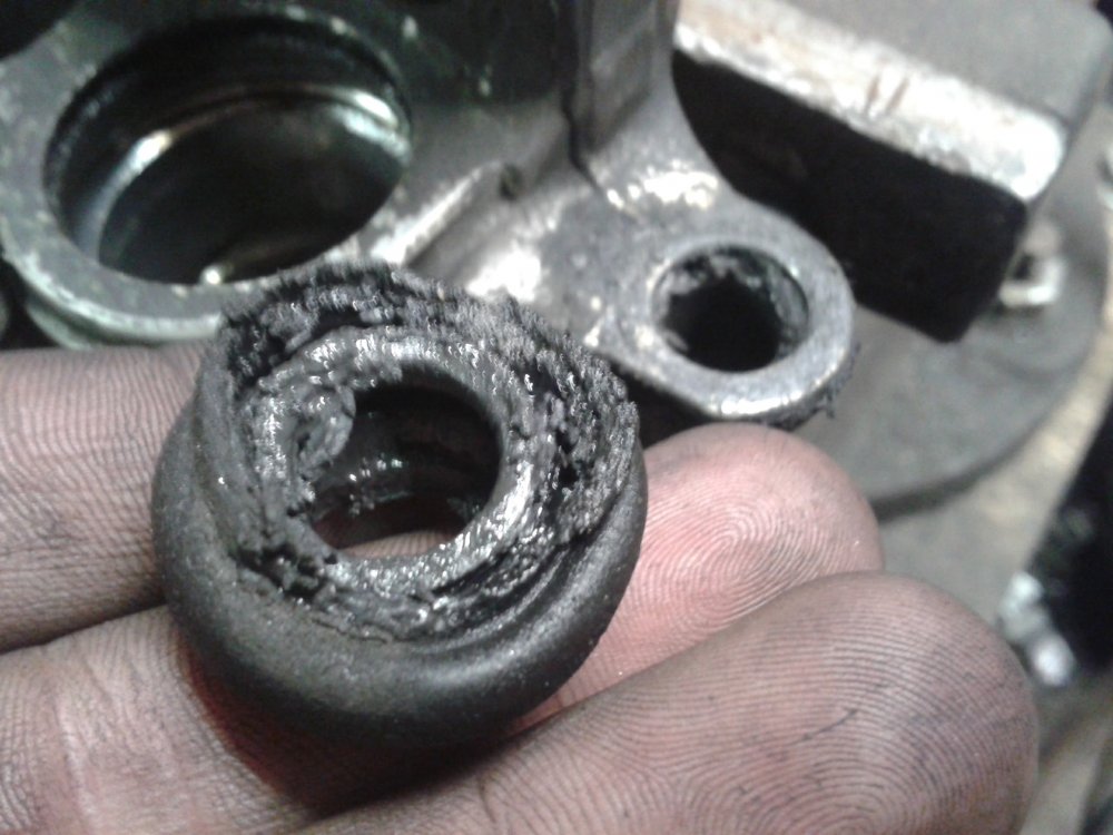 20170721_223731.jpg